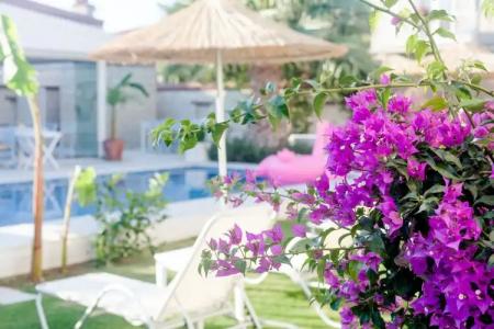 Evliyagil by Katre - 16