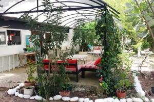Papatya Pension Bungalow, Cirali