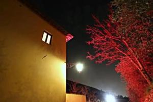Ulivo Rosso, Sesto Fiorentino