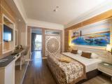 Standard Large room
