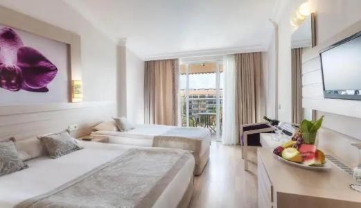 Seaden Corolla - 111