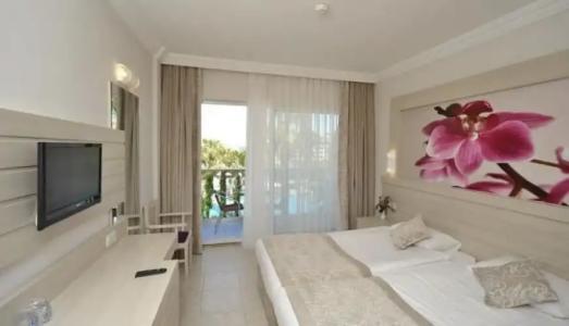 Seaden Corolla - 104