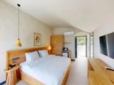 Double room with pool view