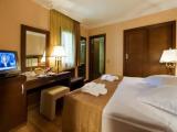 Standard Large Double Club room