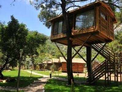 Sea Valley Bungalows - 91