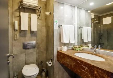 Washington Resort & Spa - 103