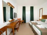 Standard Double room with garden view