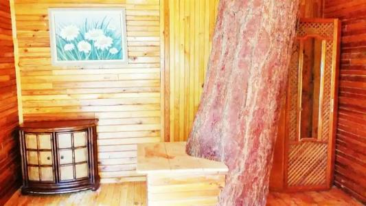 Olympos Koyevi Pension - 116