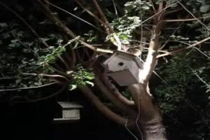 Olympos Yakamoz Pansiyon Tourist base