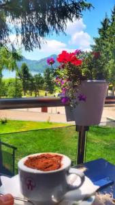 Abant Kosk Oteli - 14