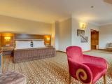 Deluxe Suite with land view