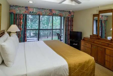 Hilton Vacation Club Polynesian Isles Kissimmee - 4