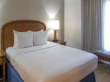 1 Bedroom Standard room