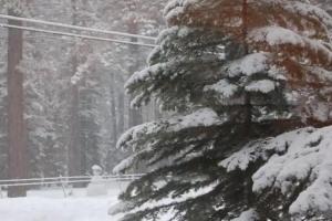 Knotty Pine Cabin, South Lake Tahoe