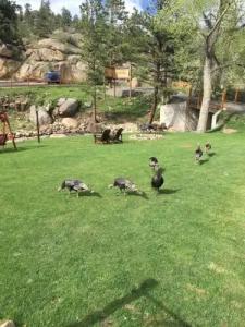 4 Seasons Inn on Fall River - 16