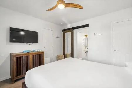 Cabana Clearwater Beach - 24