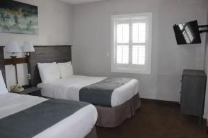 Shoreline Suites & Cabana Cottages - Beachfront, Daytona Beach
