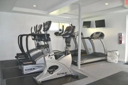 Royal Palms Resort & Spa - 17