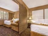 1 Bedroom Suite