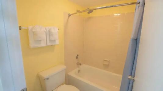 Blue Tree Resort at Lake Buena Vista - 9