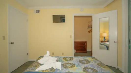 Blue Tree Resort at Lake Buena Vista - 105