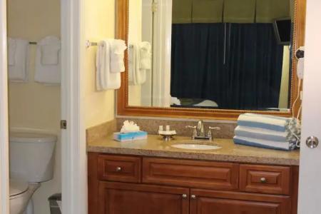 Blue Tree Resort at Lake Buena Vista - 68