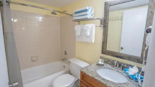 Blue Tree Resort at Lake Buena Vista - 46