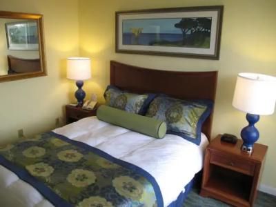 Blue Tree Resort at Lake Buena Vista - 51