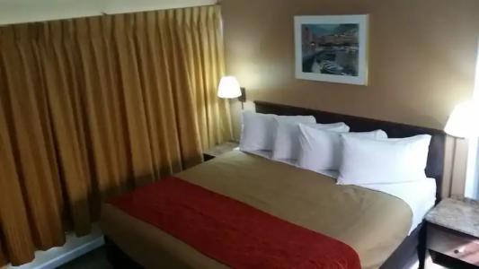 The Palms On Ocean - 53