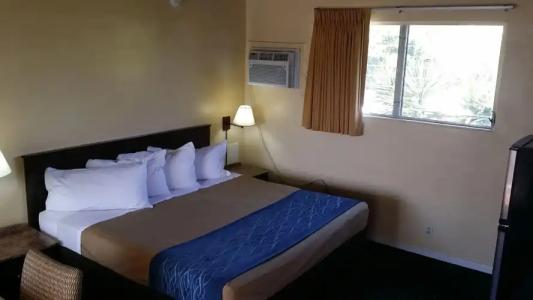 The Palms On Ocean - 24