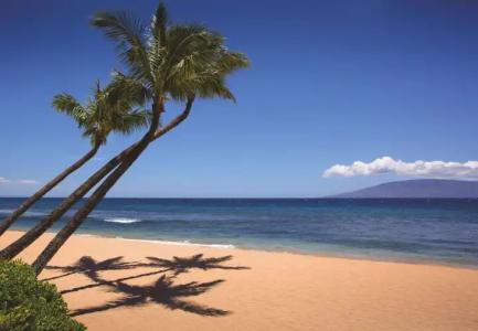 Marriott's Maui Ocean Club - Lahaina & Napili Towers - 13