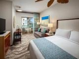 Standard Double room with garden view