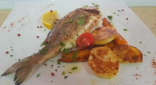 Olympia Touristic Village - 12