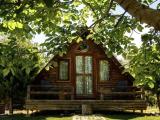 Standard Bungalow