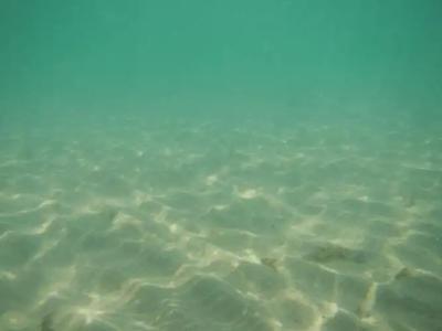 Sunshine Paradise Resort - 41