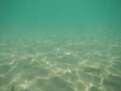 Sunshine Paradise Resort - 12