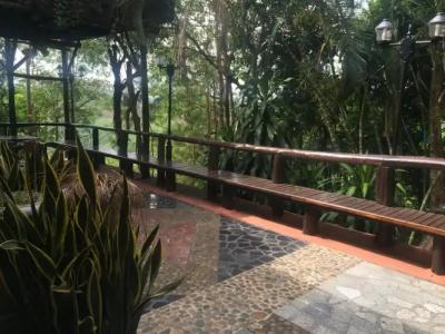 Phu Pha Nam Resort - 19