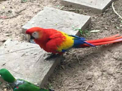 Phu Pha Nam Resort - 25