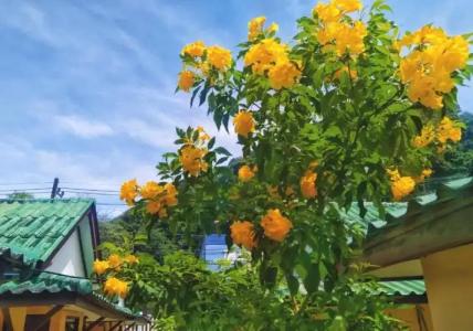 Sangtawan Resort - 74