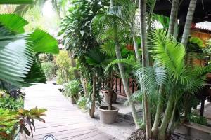 Tonsak Resort, Samet Island