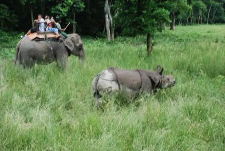 Chitwan Village Resort - 11