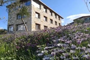 Kozbeyli Konagi Mini-hotel, Yenifoca