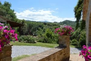 Farm Stay «Bellavista», Seggiano