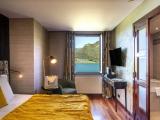 1 Bedroom Standard Double room with lake view