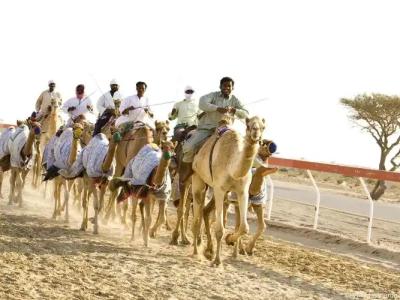 Mercure Grand Jebel Hafeet - 11