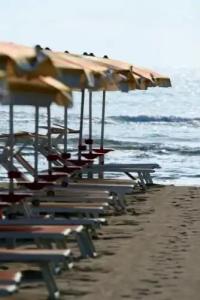 Sedonia - 9