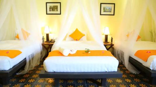 Residence Indochine D'angkor - 2