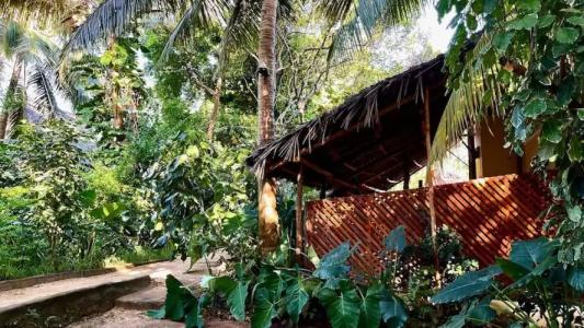 Atii Garden Bungalows - 13