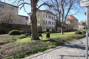 Wimaria Apartments - Central, Weimar