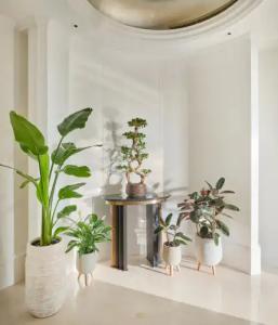 Emirates Palace Mandarin Oriental, Abu Dhabi - 103